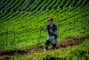 BIB: 
                            <button type="button" onclick="openModal(19161137)" class="btn btn-primary btn-sm float-right btn-popup" data-toggle="modal" data-target=".modal-high-quality">
                        <i class="fas fa-shopping-cart"></i> Add to Cart
                    </button>
                                            <button type="button" onclick="isThisMe(19161137, true)" class="btn btn-success btn-sm float-right btn-popup btn-isme hidden" data-toggle="tooltip" data-placement="bottom" title="นี่คือรูปของคุณใช่ไหม คลิกที่นี่เพื่อเอาเข้าอัลบั้ม">
                        <i class="fas fa-plus"></i> Add to album
                    </button>
                    <button type="button" onclick="isThisMe(19161137, false)" class="btn btn-warning btn-sm float-right btn-popup btn-isnotme hidden">
                        <i class="fas fa-ban"></i> Remove from album
                    </button>